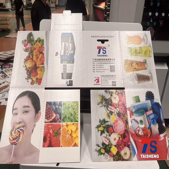 Fully Automatic Customized Carton Making Slotting Flexo Printing Rotary Die Cutting Machine with CE